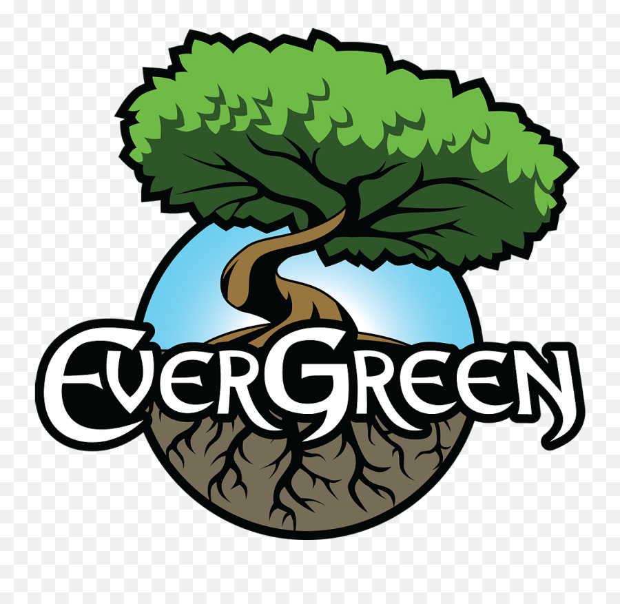 An Amateurs Guide - Evergreen Logo Emoji,Redesign Your Logo