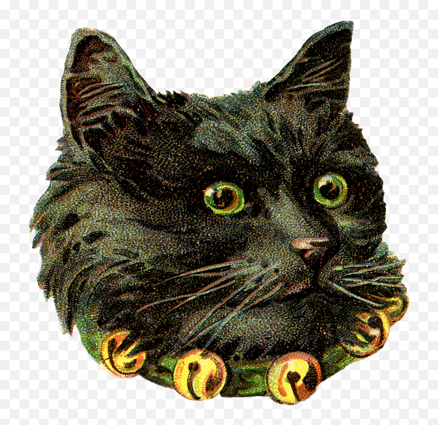 Zibi Vintage Scrap Black Cat Images Vintage Cat Cat Clipart - Cat Vintage Emoji,Cute Black Cat Clipart
