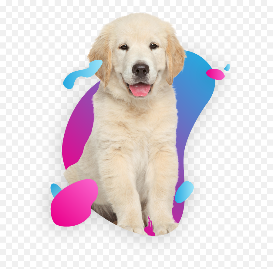 Png Cat And Dog Transparent Cartoon - Jingfm 44 Pound Dog Emoji,Cat And Dog Clipart