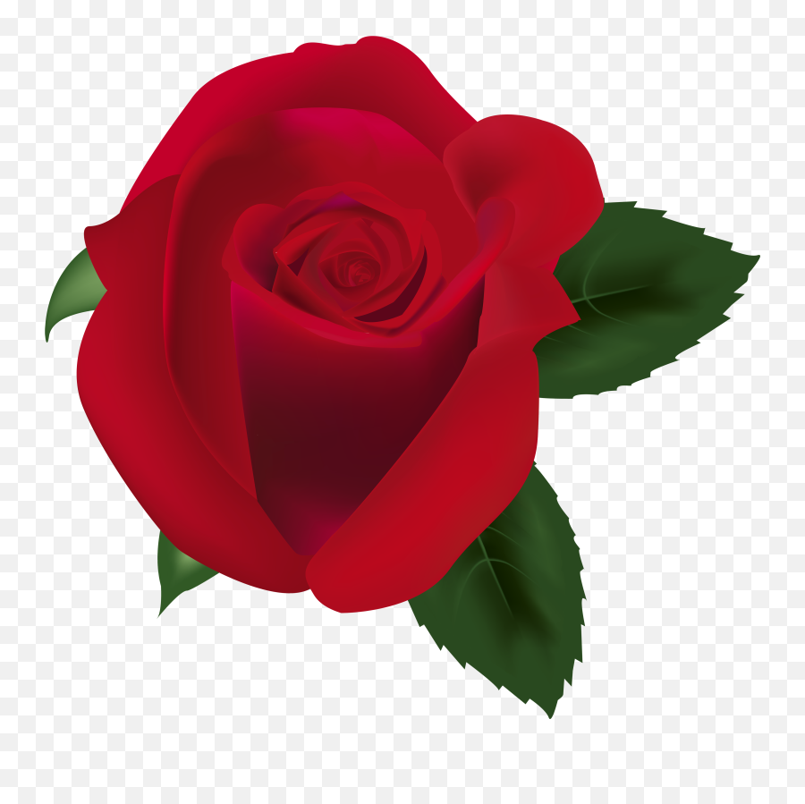 Red Rose Png Rose Clipart - Red Rose Clipart Png Emoji,Rose Clipart