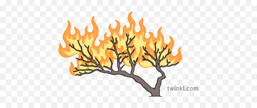 Burning Bush Illustration - Burning Bush Illustration Emoji,Bush Png