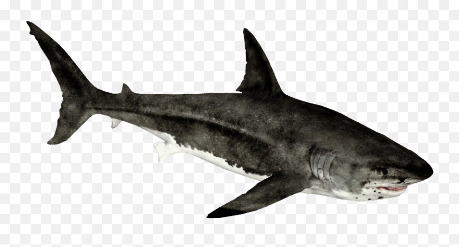 Download Big Shark Megalodon Free Clipart Hd Hq Png Image Emoji,Shark Tooth Clipart