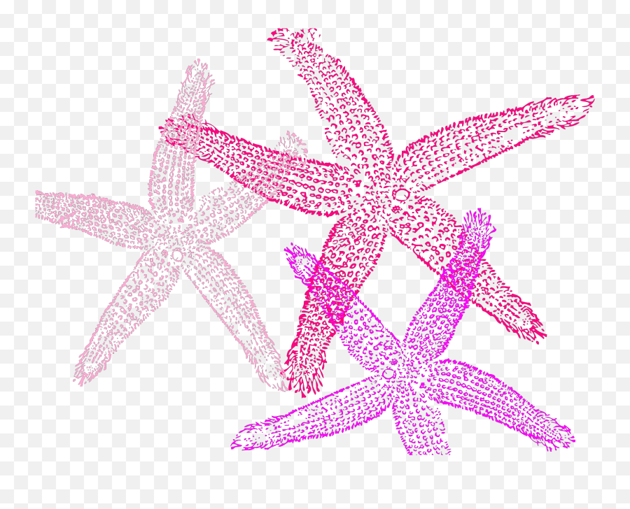 Multiple Pink Starfish Svg Vector Multiple Pink Starfish Emoji,Starfish Clipart Png