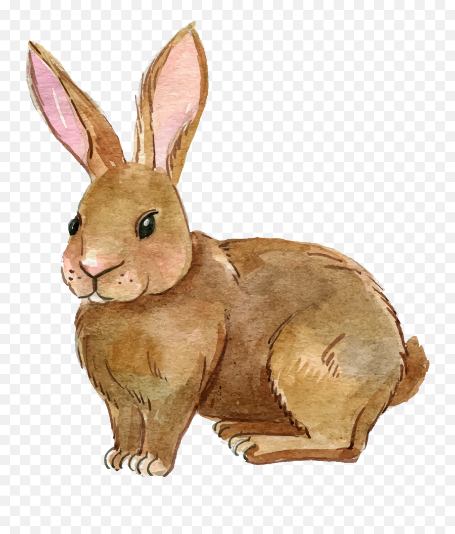 Bunnies Clipart Transparent Background - Rabbit Clipart Png Emoji,Bunny Clipart