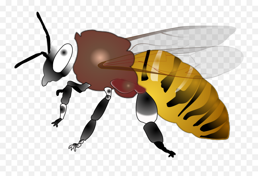 Hornet Svg Vector Hornet Clip Art - Clip Art Honey Bee Bees Emoji,Hornet Clipart