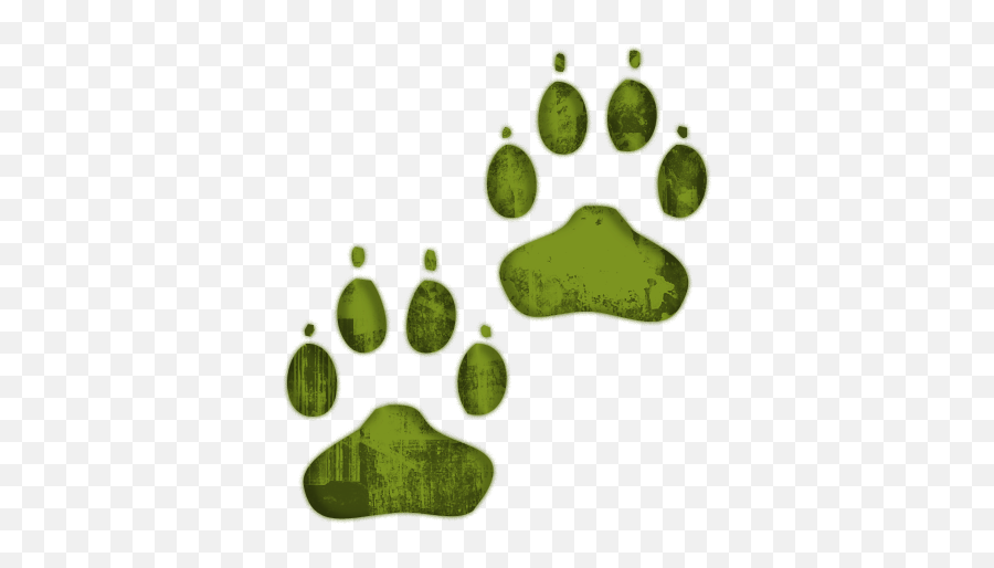 Free Animal Print Clipart Download Free Animal Print - Panda Paw Png Transparent Emoji,Leopard Print Clipart