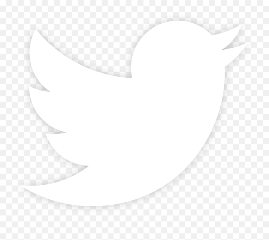 Transparent Background Bird Logo Png - Bird Wallpaper Vector Twitter White Logo Emoji,Penguin Transparent Background