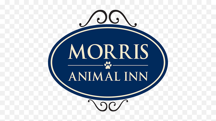 Pet Friendly Events Around Morristown Nj - Morris Animal Inn Emoji,County College Of Morris Logo