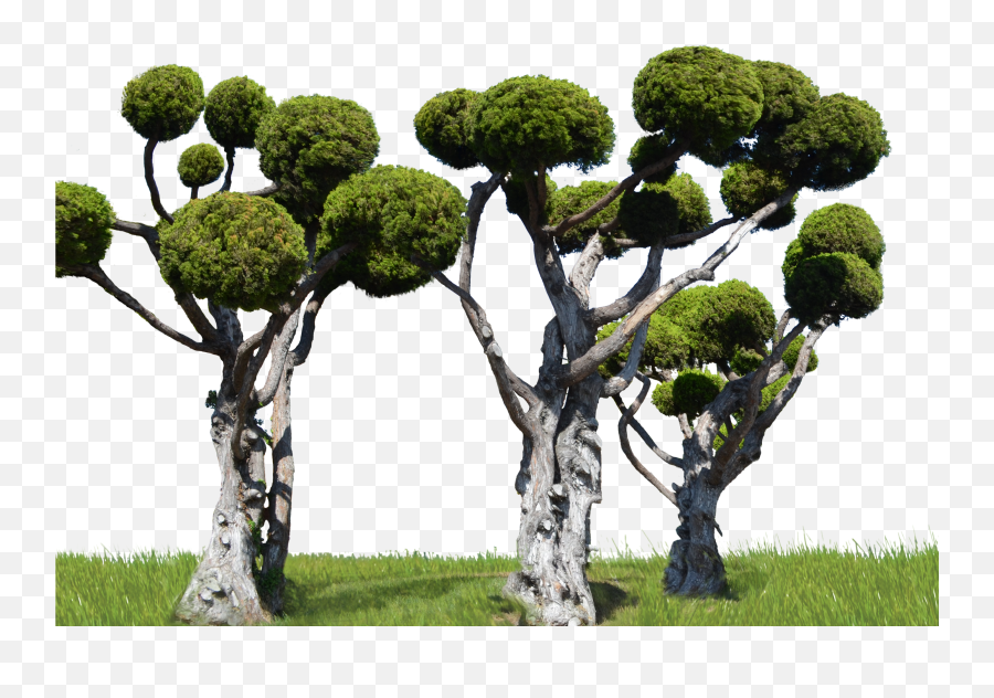 Download Round Tree Forest Png Stock In Landscape 0007 By - Portable Network Graphics Emoji,Forest Png