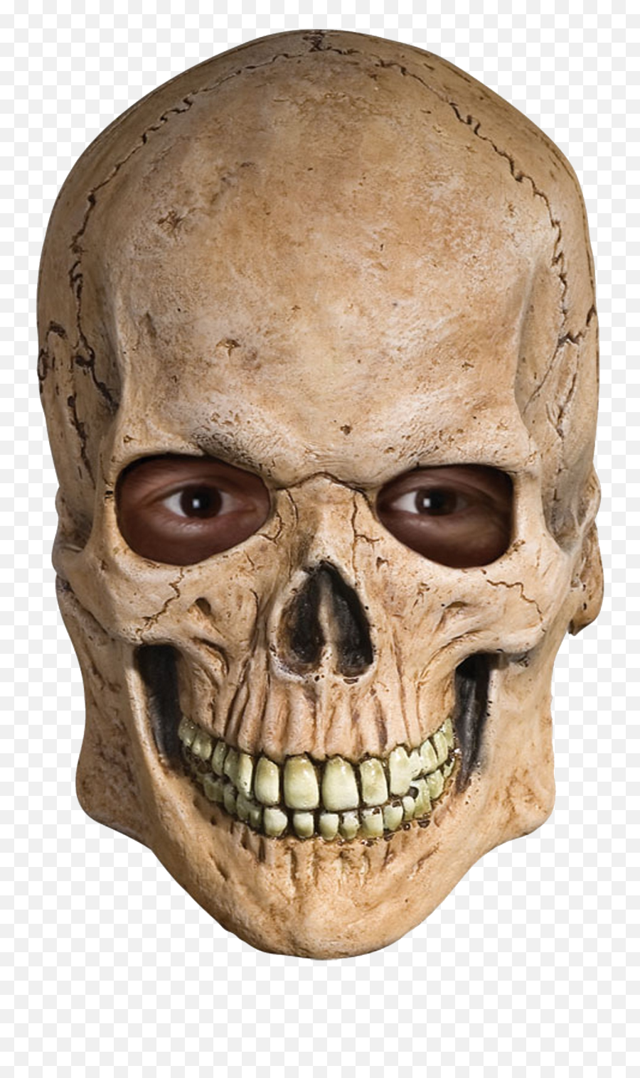 Human Skull Transparent Background - Skeleton Head Mask Emoji,Skull Transparent