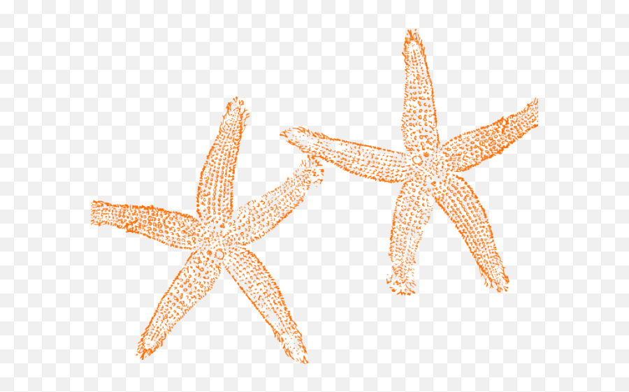 Starfish Clipart Orange Starfish - Orange Starfish Clipart Emoji,Starfish Clipart Png