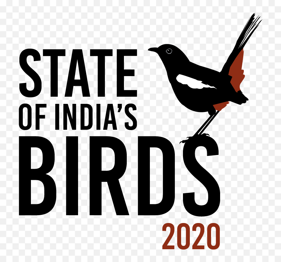First Comprehensive Assessment Of Bird Species Found In India Emoji,Ebird Logo