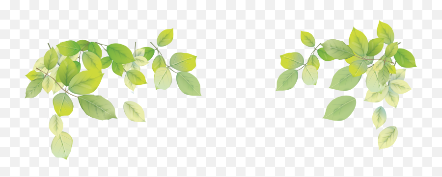 Green Leaves Png U0026 Free Green Leavespng Transparent Images - Transparent Transparent Background Leaf Png Emoji,Green Leaves Png
