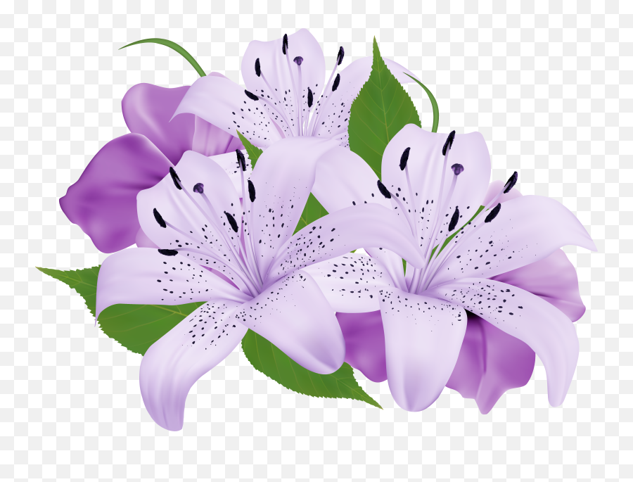 Download Purple Decorative Flowers Png - Purple Flowers Png Hd Clipart Emoji,Purple Flower Clipart