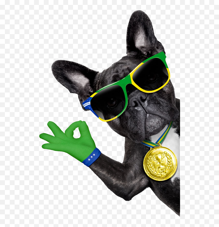 Download Sunglasses Bulldog Photography - Dog Ok Emoji,French Bulldog Clipart