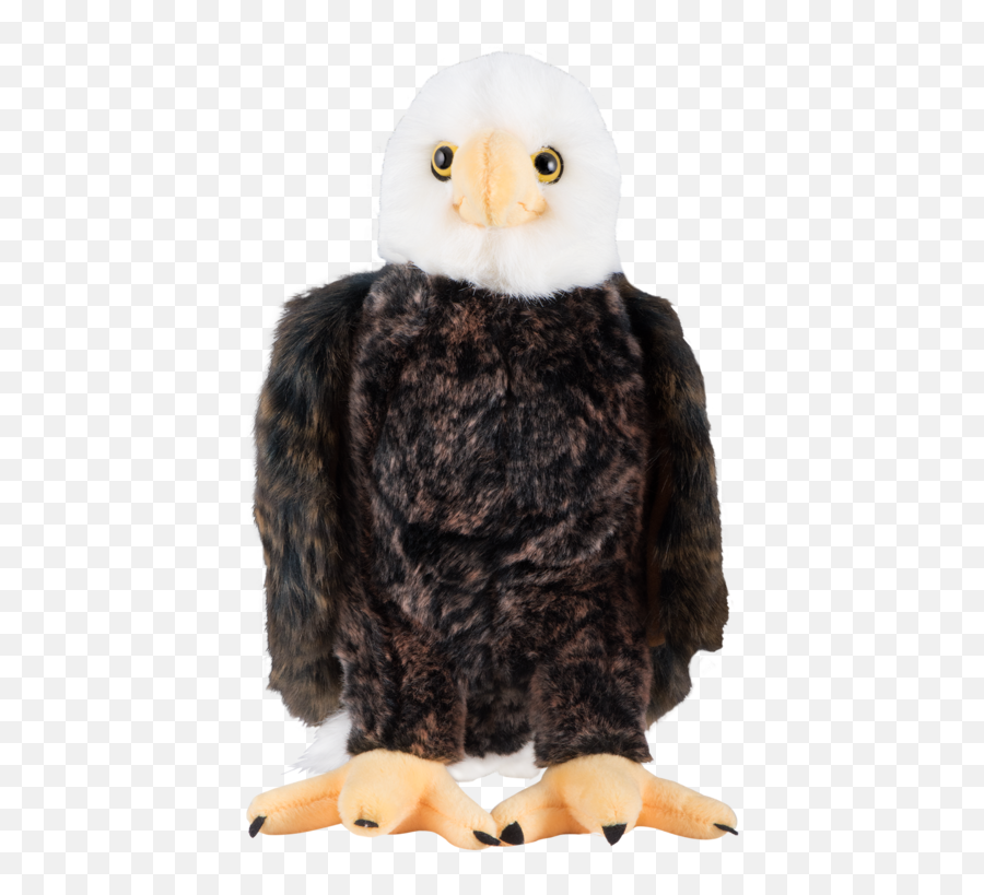 Bald Eagle Plush - Bald Eagle Plush Toy Emoji,Bald Eagle Png