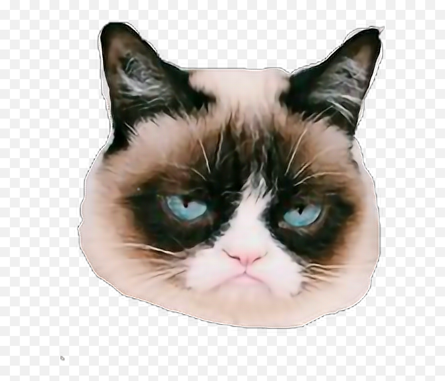 Grumpycat Sticker Emoji,Grumpy Cat Clipart