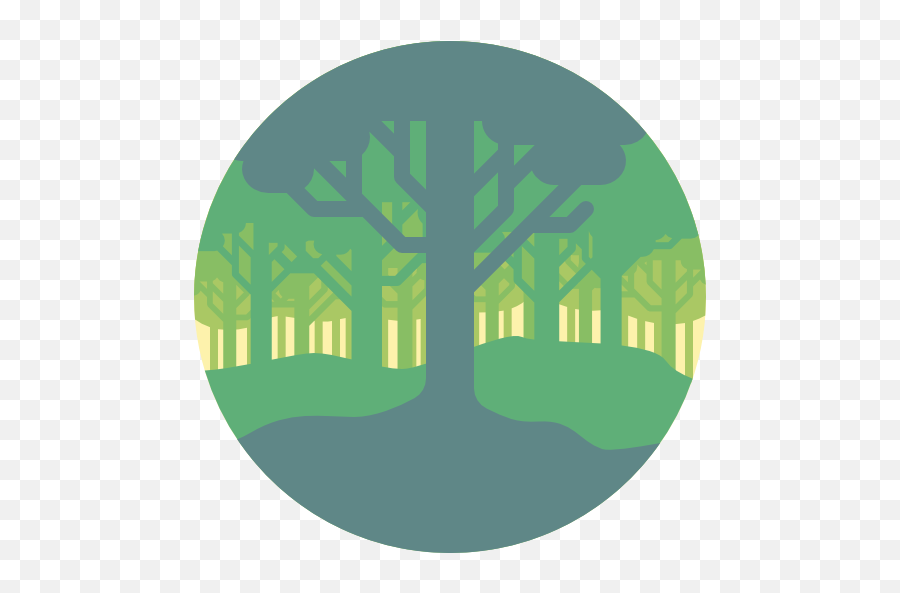 What Do You Know About The Ecosystem In A Forest - Quora Emoji,Transparent Forest