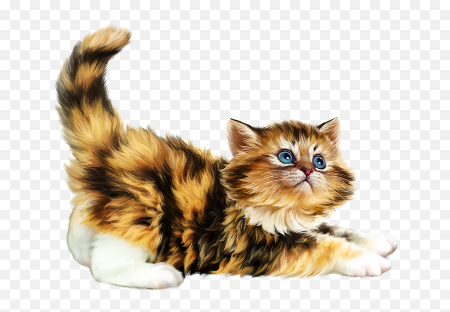 Pin By Zdenka On Obrazky Pro Poteseni Cats Illustration - Gatitos Adorables Png Emoji,Cute Cat Clipart