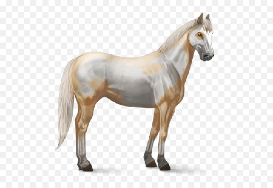 Horse Png Free Image Download 36 Png Images Download Emoji,White Horse Png