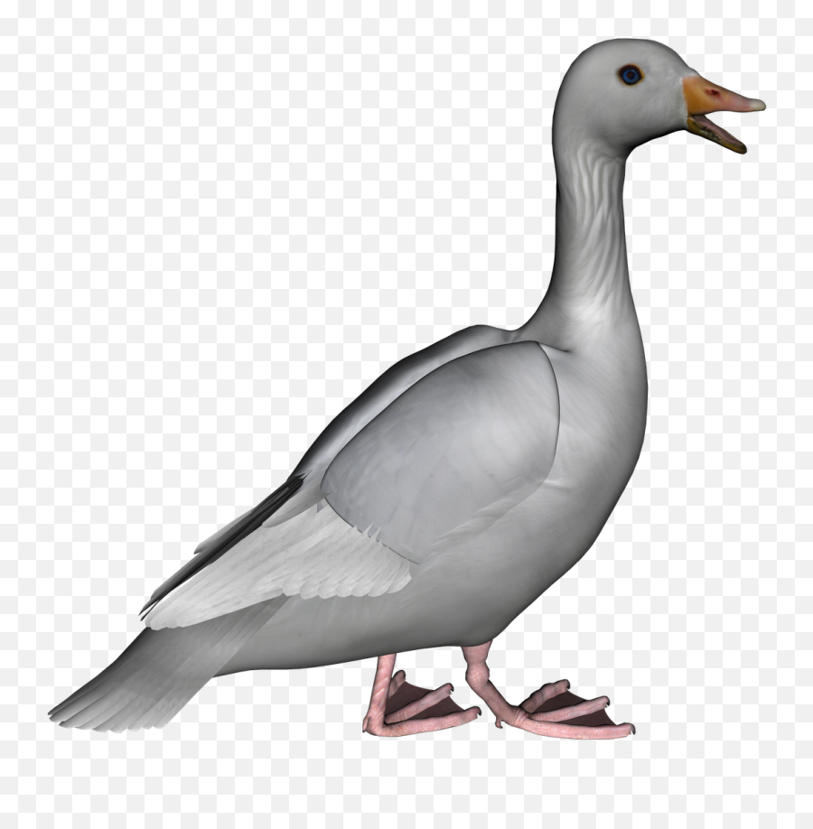 Goose Clipart Grey Goose Goose Grey - Grey Goose Clipart Emoji,Goose Clipart