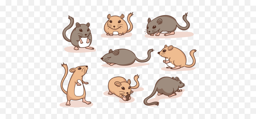 Rat Icons - 21 Free Rat Icons Download Png U0026 Svg Gerbil Clipart Emoji,Rat Transparent Background