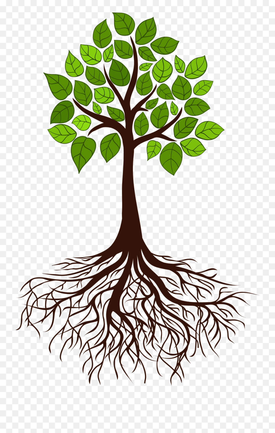 Tree Root Branch - Transparent Background Tree With Roots Clipart Emoji,Roots Png