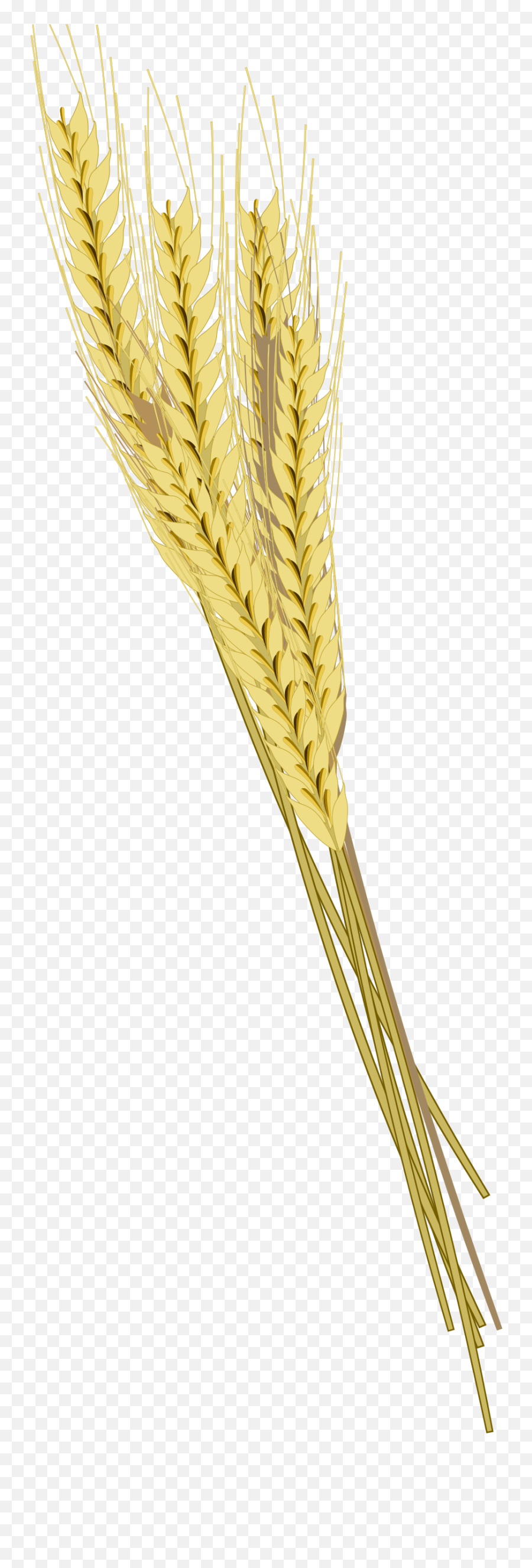Grain Clipart Barley - Barley Transparent Background Emoji,Grain Clipart