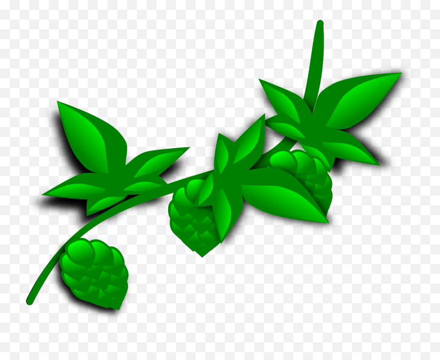 Hops Plants Clipart - Clip Art Bay Coca Plant Clip Art Emoji,Forest Clipart