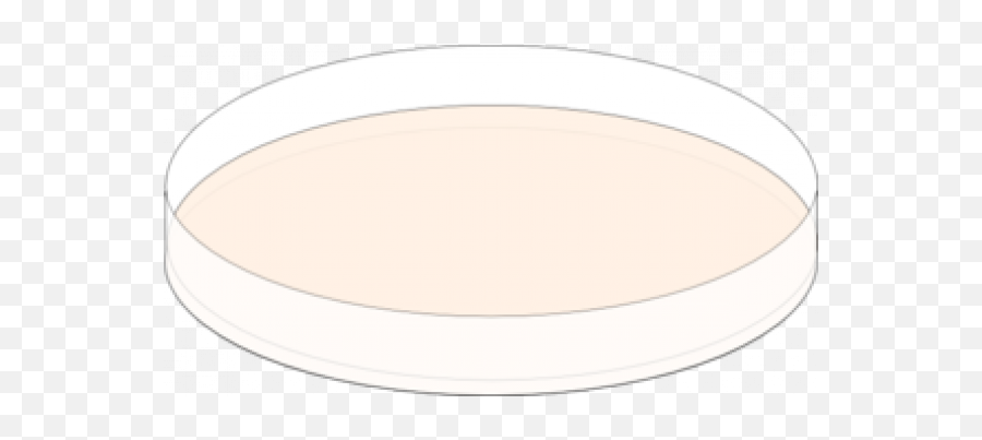 Agar Plate Clipart Free Png Images Transparent U2013 Free Png - Empty Emoji,Plate Clipart