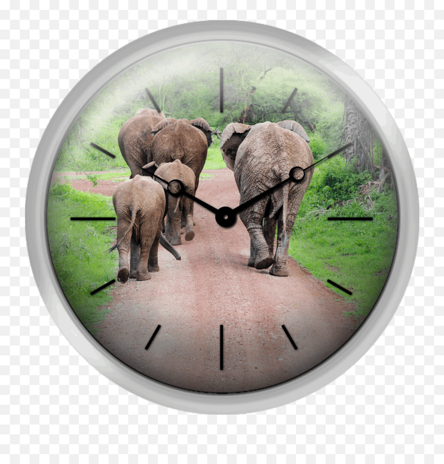 Xpress Clocks - Gallery Herd Of Elephants In A Dirt Road Emoji,Dirt Path Png