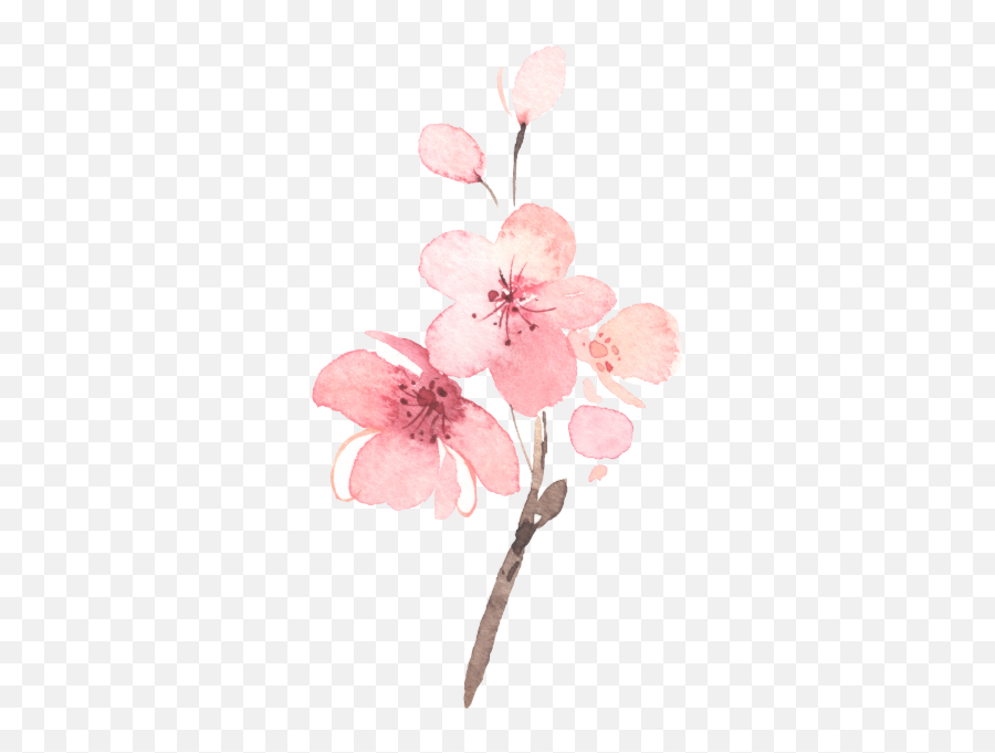 Cherry Blossom Pink Floral Wedding Reception Enclosure Card - Cherry Blossom Pink Watercolor Emoji,Cherry Blossom Petals Png
