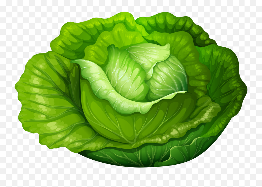 Clipart Vegetables Individual Clipart - Clipart Cabbage Png Emoji,Vegetables Clipart