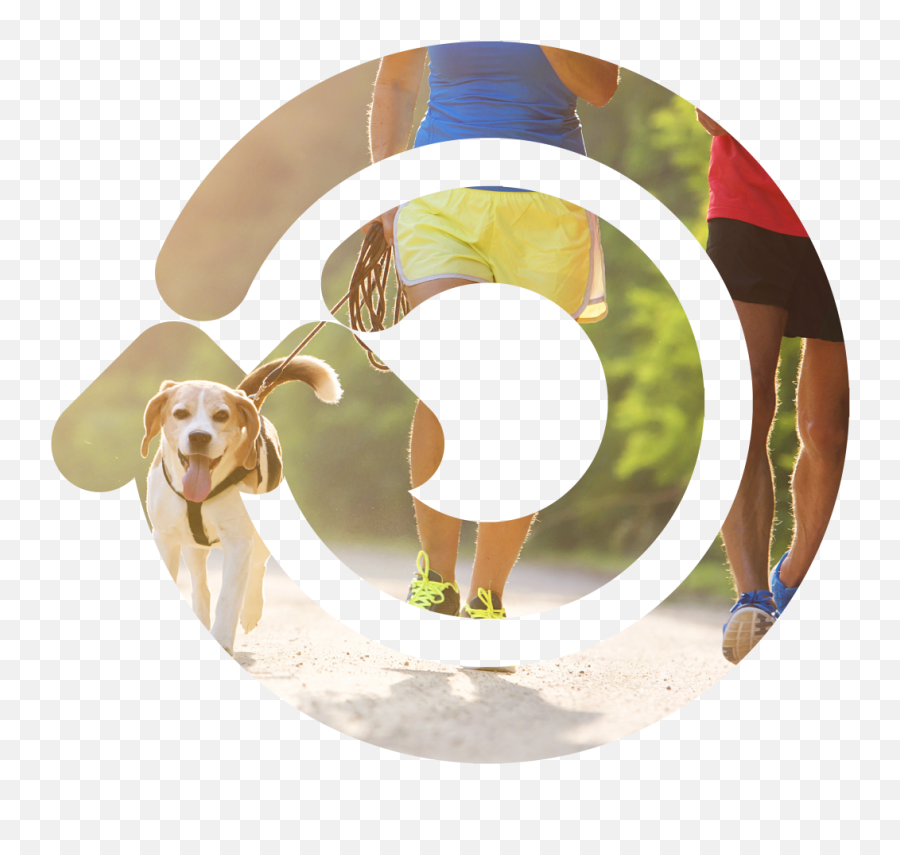 Home - Members Community Credit Union Emoji,People Walking Dog Png