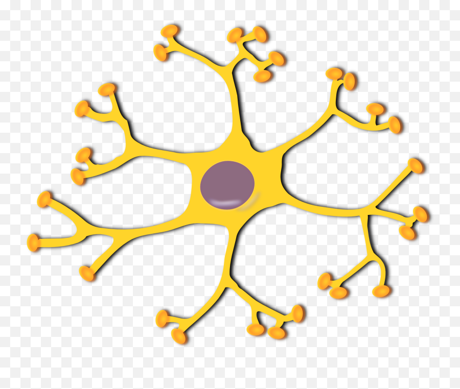 Download Neuron Clipart Design - Brain Cell Clipart Png Interneuron Clipart Emoji,Cell Clipart