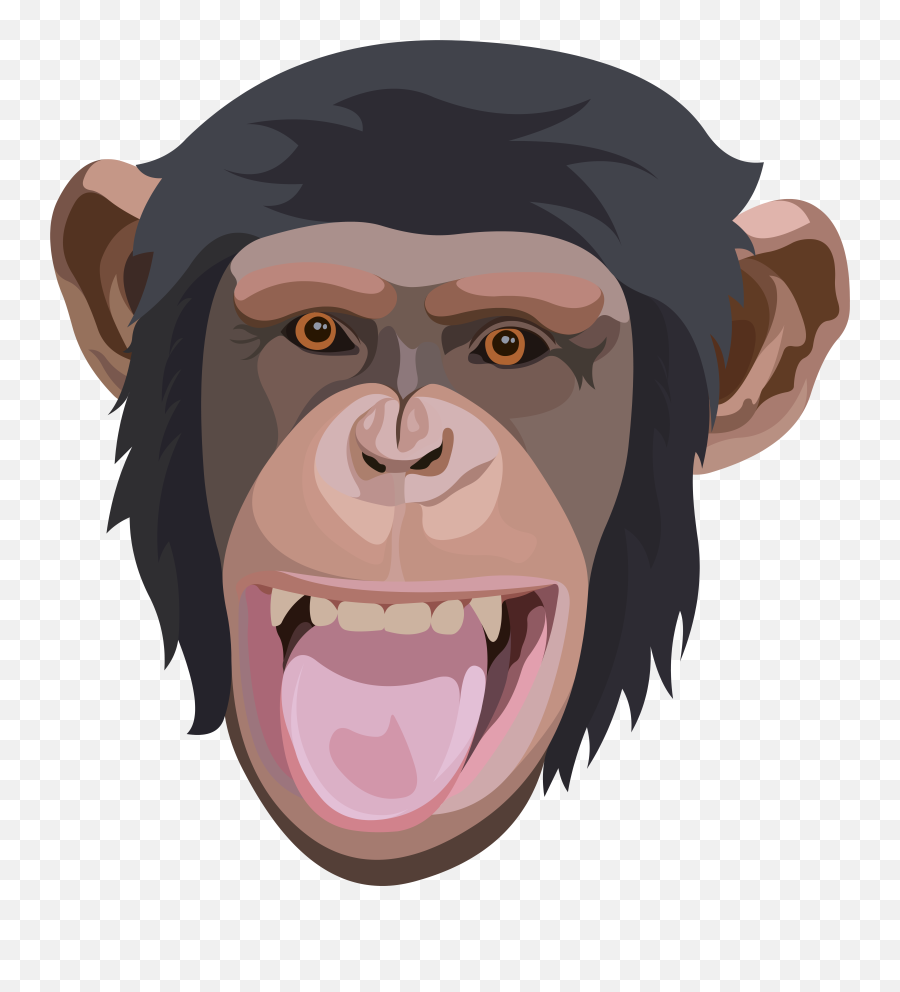 Chimpanzee Face Emoji,Anime Face Png