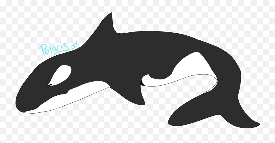 Cat Dolphin Killer Whale Shark Clip Art - Cat Png Download Emoji,Orca Whale Clipart