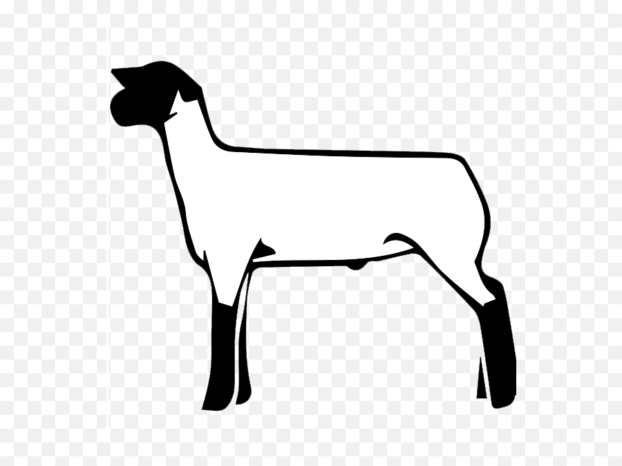 Free Market Lamb Cliparts Download Free Clip Art Free Clip - Clip Art Show Lamb Emoji,Lamb Clipart
