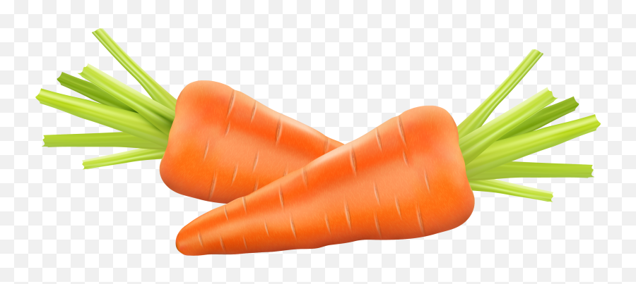 Carrot Photography Euclidean Vector - Carrots Clipart Png Emoji,Carrots Clipart