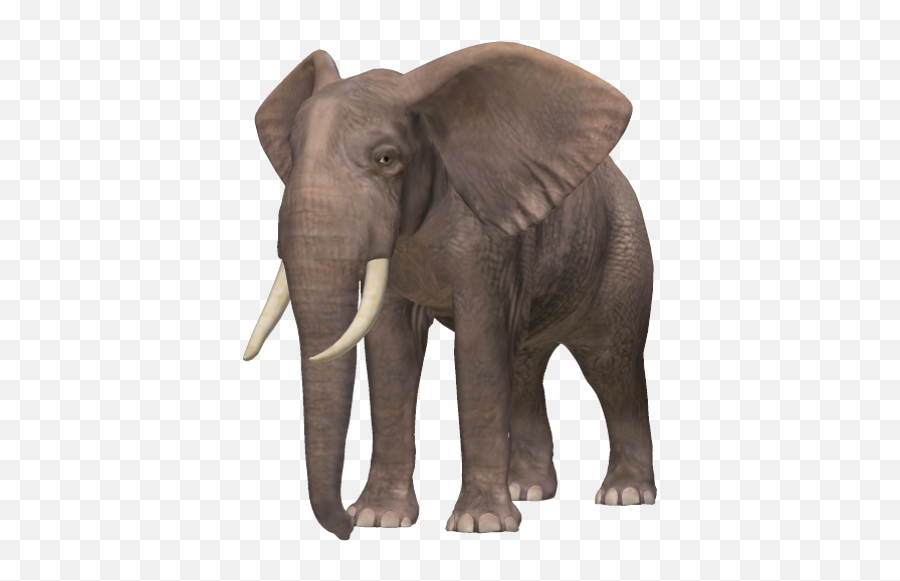 Elephant Png Elephant Images Elephant African Bush Elephant - Elephant Png Emoji,Elephant Png