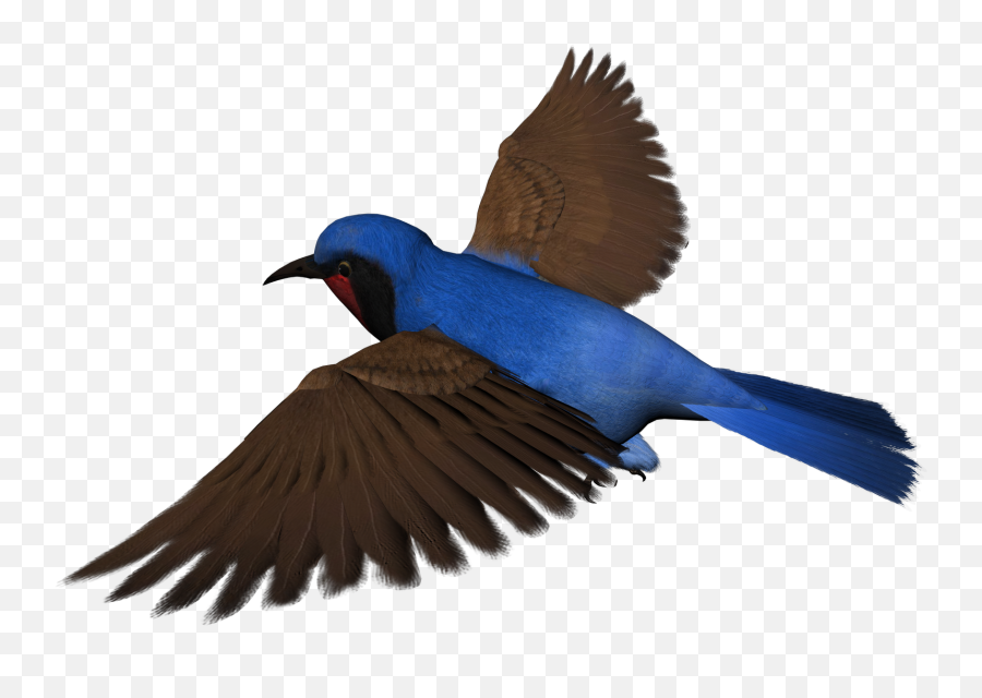 Free Clip - Free Bird Image Transparent Emoji,Free Bird Clipart