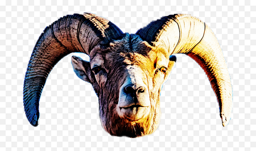 Ram Goat Head Horns Mountain Sticker By Scotty Emoji,Goat Horns Png