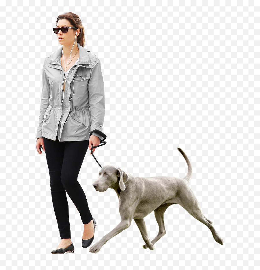 Dog Walk Emoji,Person Walking Png