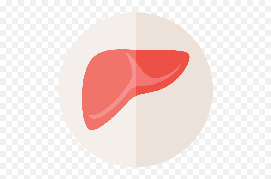 Liver Vector Svg Icon 4 - Png Repo Free Png Icons Liver Anatomy Transparent Background Emoji,Liver Png
