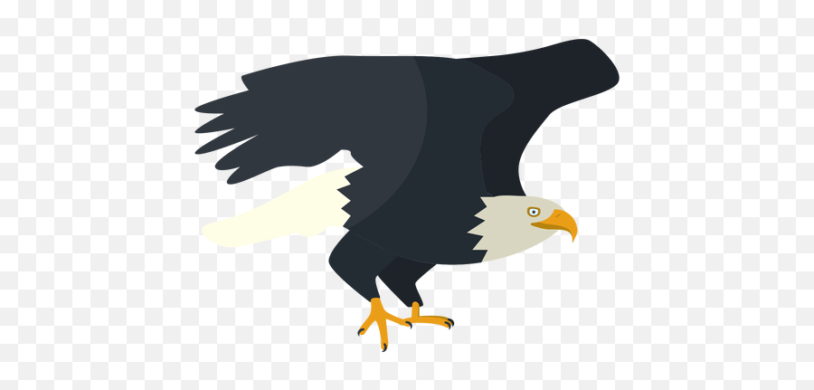 Bald Eagle Flat Illustration - Bald Eagle Emoji,Bald Eagle Png