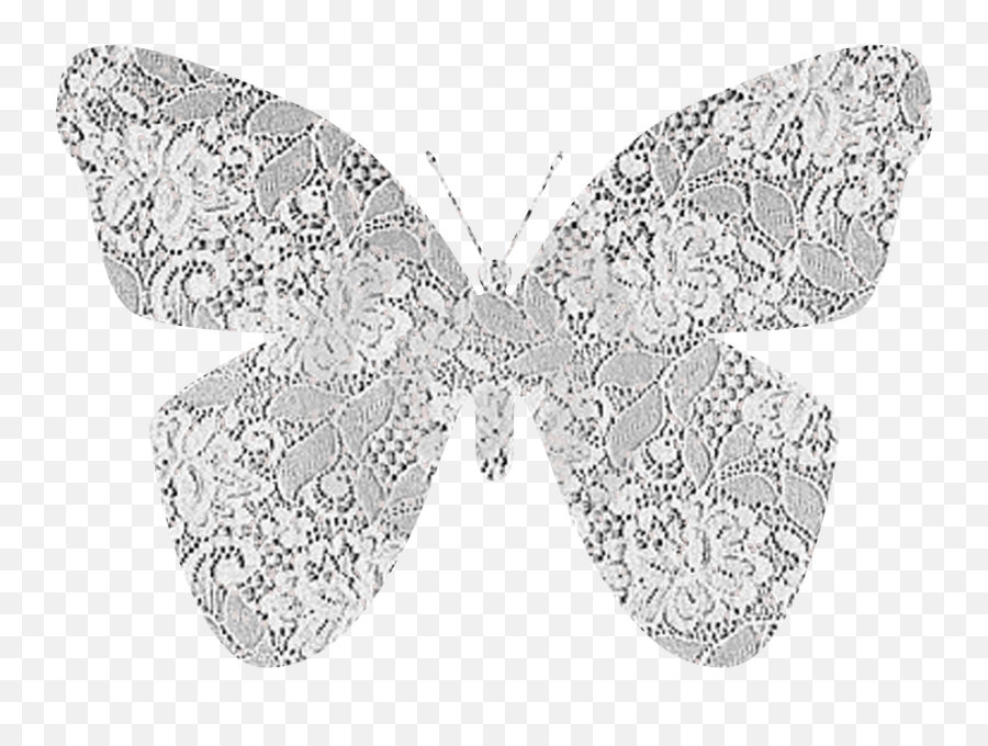 White Lace Pattern Png - White Lace Butterfly Png Full White Lace Butterfly Png Emoji,Lace Pattern Png
