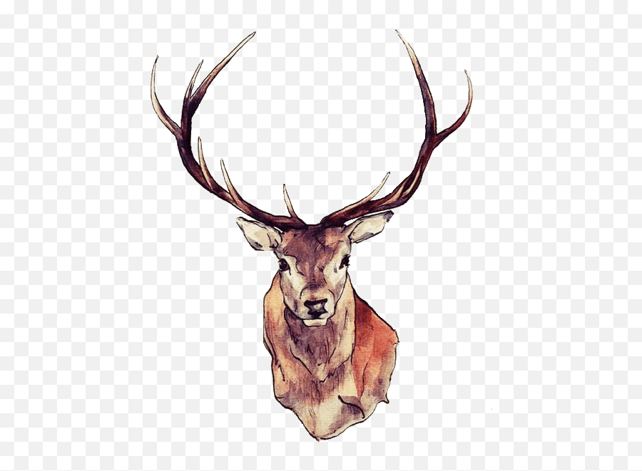 Deer Face - Deer Stickers Emoji,Deer Png