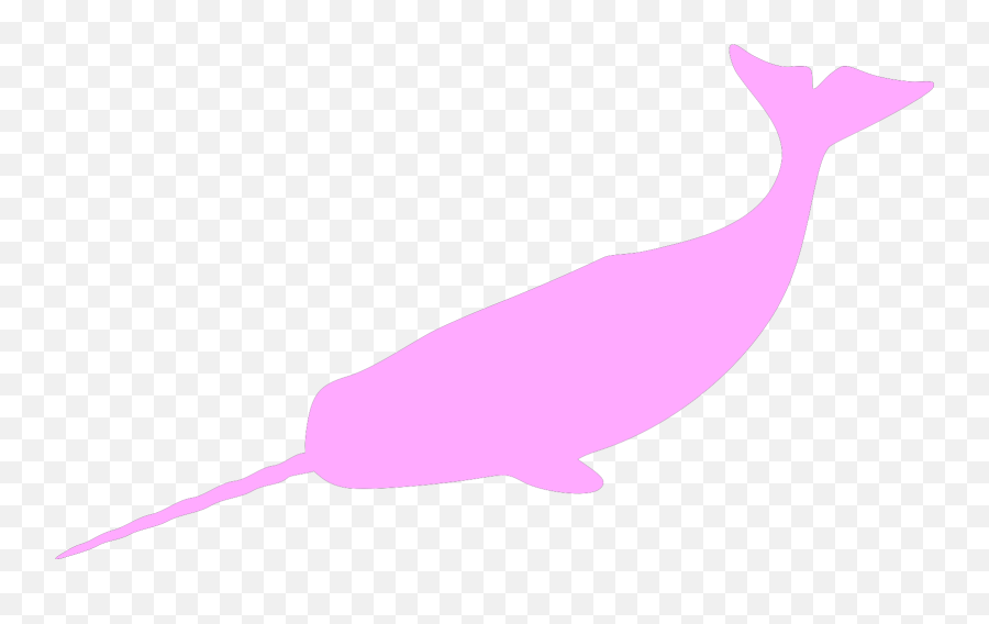 Narwhal - Narwhal Silhouette Png Emoji,Narwhal Clipart