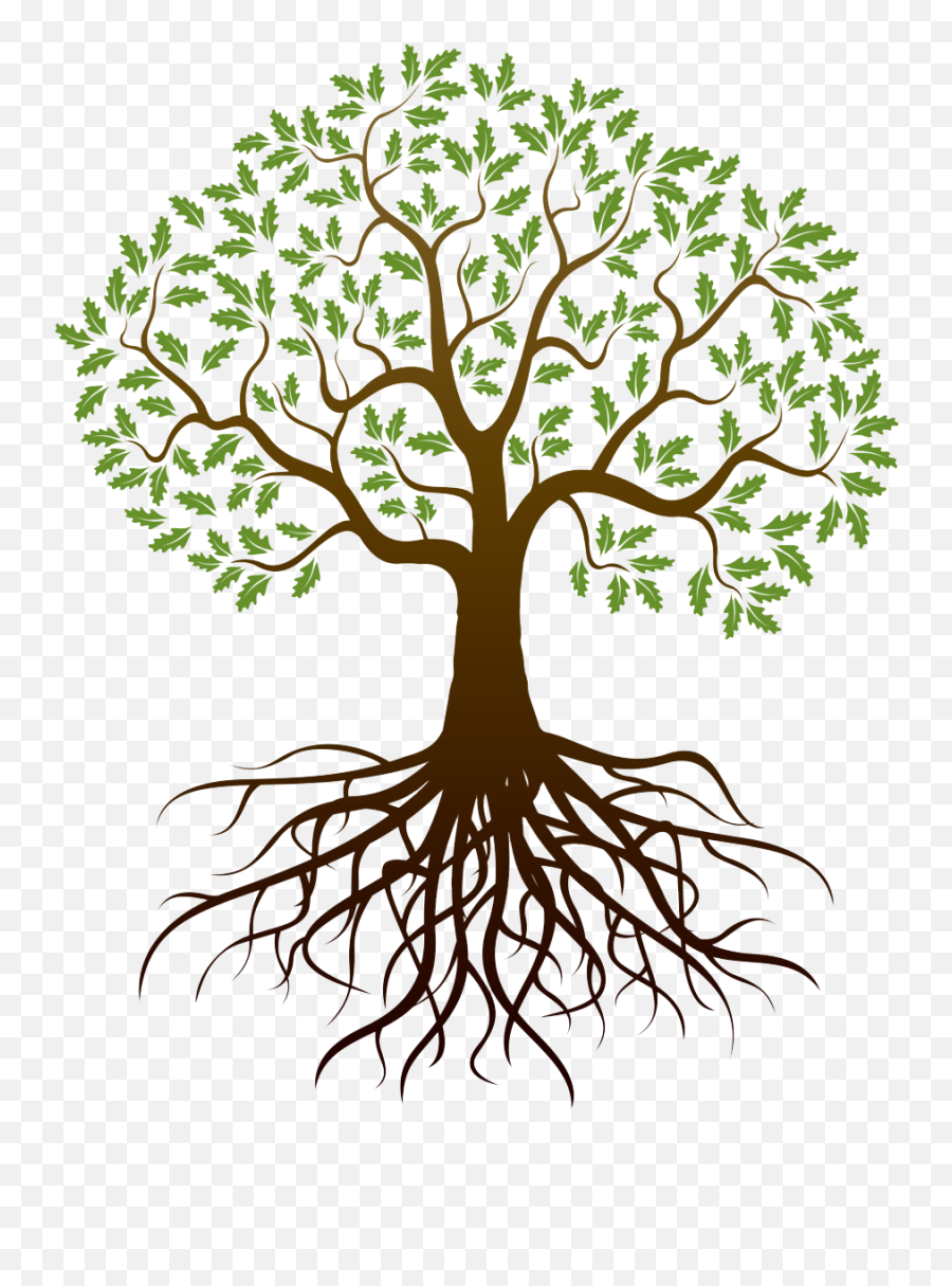 Tree Roots Png - Clipart Transparent Background Tree With Roots Emoji,Roots Png