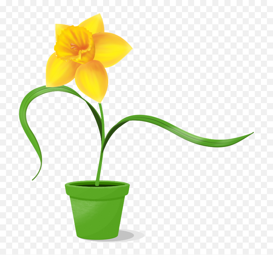 Daffodil Clipart Easter - Lily Emoji,Daffodil Clipart